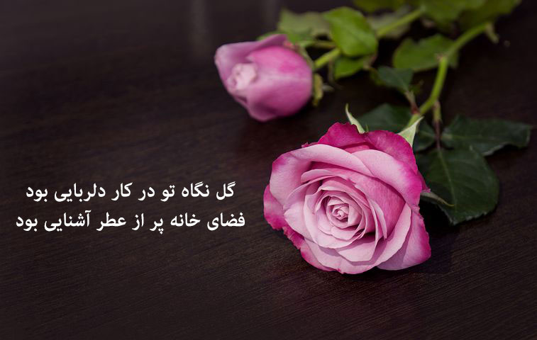 Photo of the flower with a romantic text