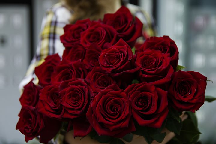 Photos of the romantic red rose