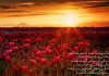شعر زندگی زیباست چشمی باز کن