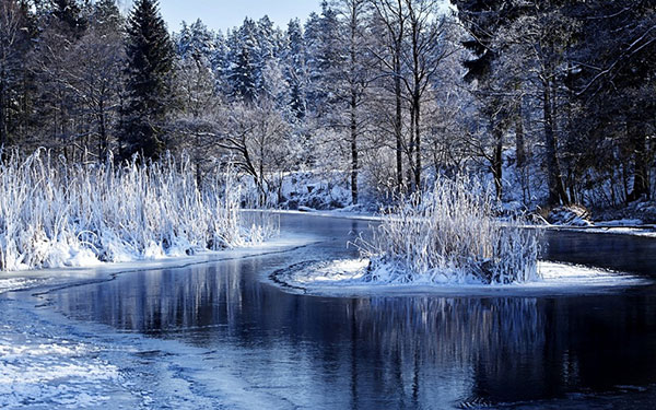 عکس طبیعت زمستانی برفی