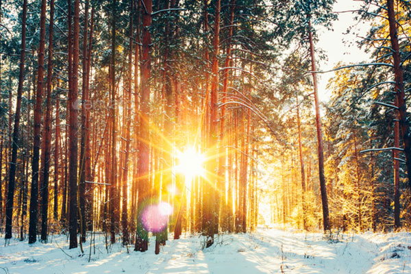 عکس طلوع خورشید در زمستان