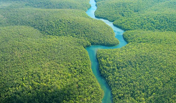 طبیعت بکر رودخانه آمازون