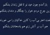 شعر باز آمدم چون عید نو تا قفل زندان بشکنم
