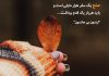 جملات بزرگان در مورد صلح