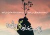 شعر کامل از محبت خارها گل می شود