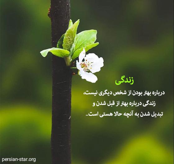 دلنوشته های زیبا و احساسی برای زندگی