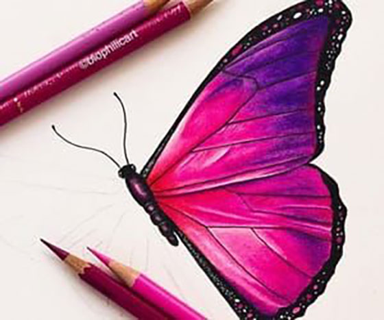 نقاشی پروانه با مداد رنگی