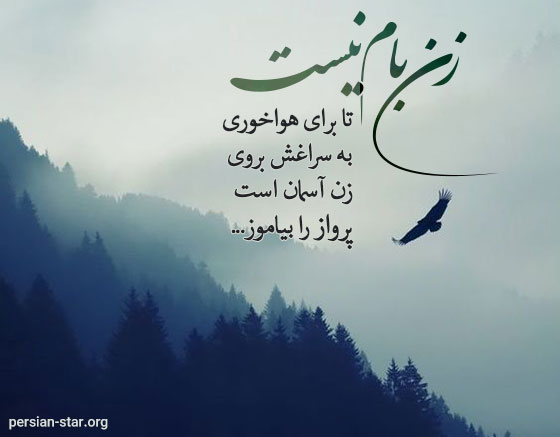 متن نوشته زیبا در مورد ارزش زن