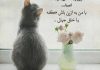 اشعار زیبا در مورد غرور و مغرور شدن