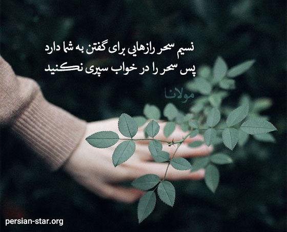 جملات زیبا برای شروع یک روز خوب