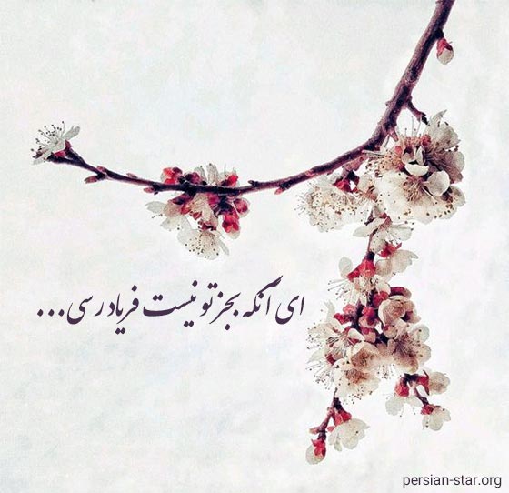 استاتوس مذهبی و زیبا برای واتساپ