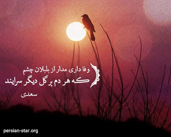 شعرهای بسیار زیبا و مفهومی