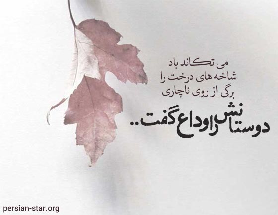 شعرهای کوتاه و عاشقانه وداع