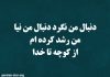 گزیده شعرهای زیبای اندیشه فولادوند
