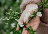 غزل های عاشقانه از شاعران بزرگ