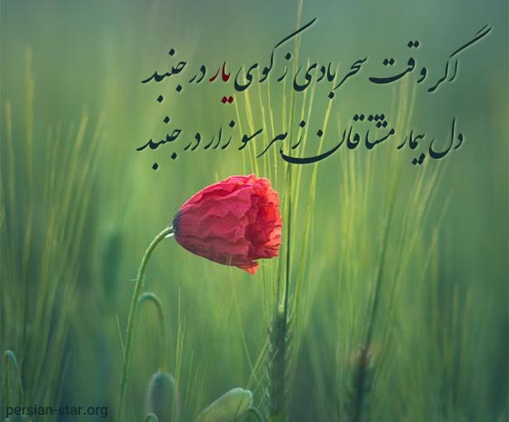 قصیده های زیبا از شاعران معروف پارسی