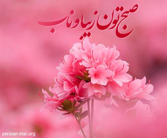 جملات باکلاس و ناب صبح بخیر