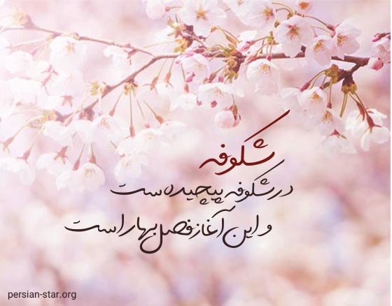 جملات عاشقانه و احساسی درباره شکوفه های بهاری