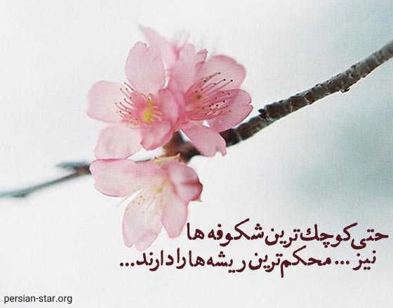 متن عاشقانه و زیبا در مورد شکوفه های بهار
