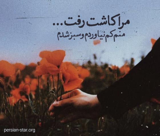 متن های ادبی و فلسفی زیبا