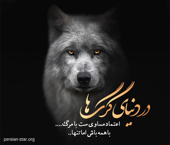 متن های زیبا و سنگین در مورد گرگ ها
