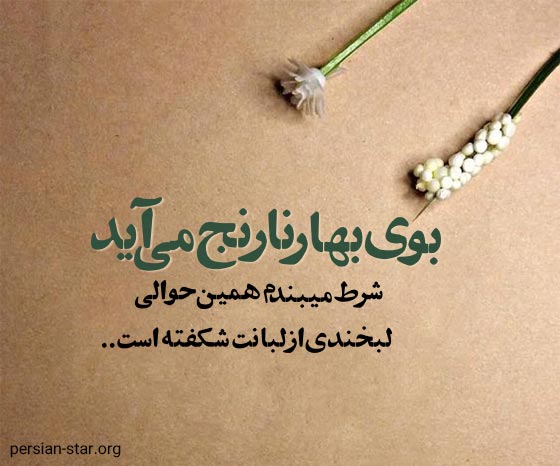 جملات زیبا در مورد بهار نارنج