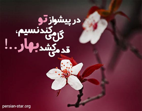 متن دلنوشته فصل بهار