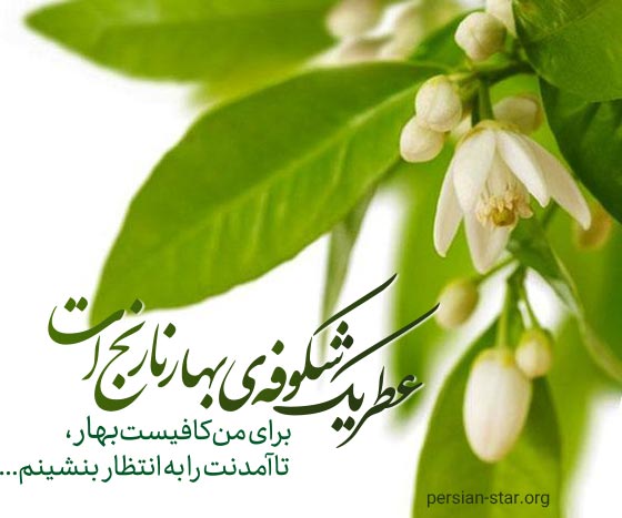 متن های زیبا و ادبی درباره بهار نارنج