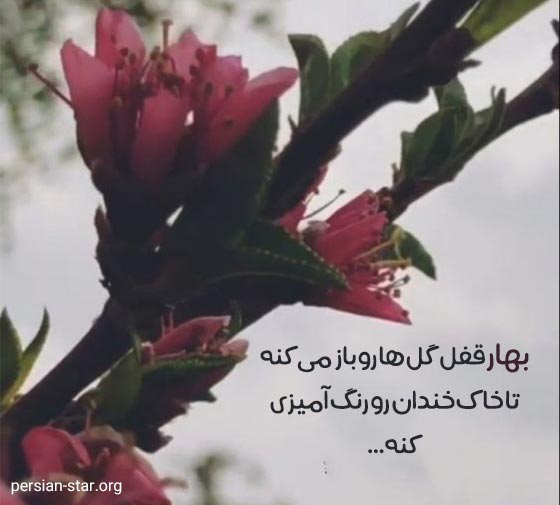 متن های انگیزشی بهاری زیبا و ناب