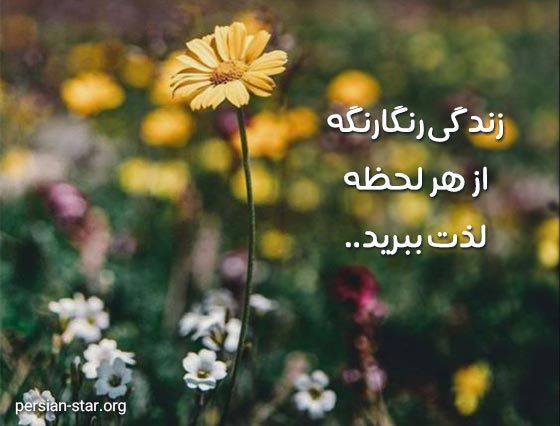 متن پروفایل زیبا و پرمحتوا در مورد زندگی