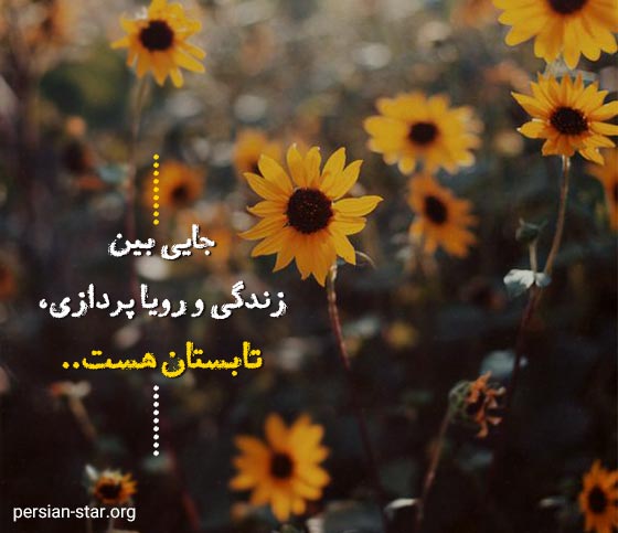 متن های زیبا در مورد فصل تابستان برای استوری