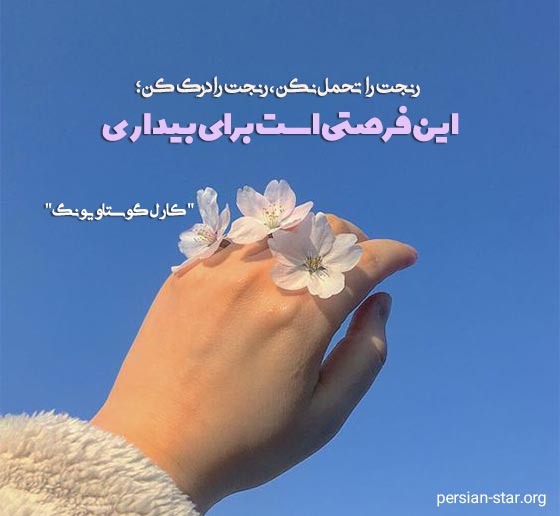 تک جمله های ناب از بزرگان