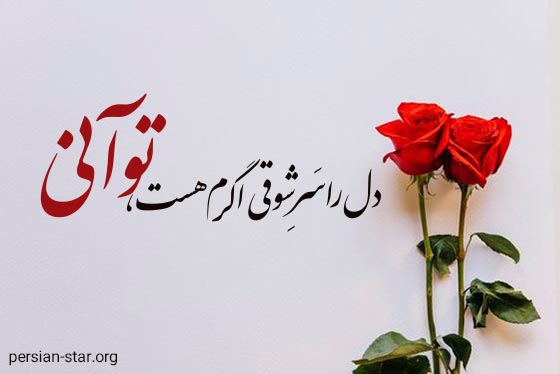شعر عاشقانه لاکچری کوتاه برای همسرم