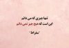 سخنان حکیمانه و فیلسوفانه بزرگان