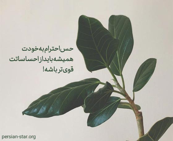 متن خاص برای بیو اینستا