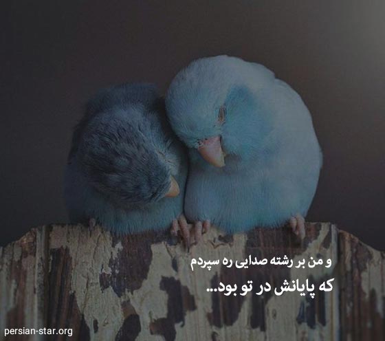 اشعار زیبا و دلنشین عاشقانه برای همسر