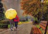 انشا ادبی توصیف یک روز بارانی پاییزی
