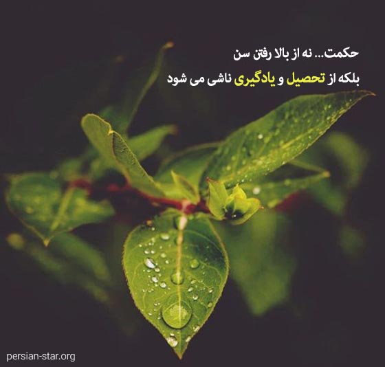 جملات انگیزشی برای موفقیت درسی