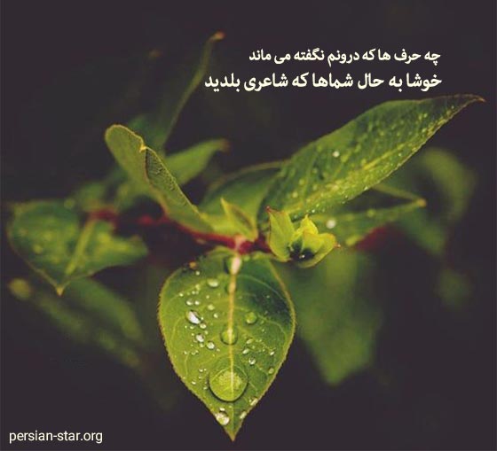 متن ادبی و زیبا برای پروفایل