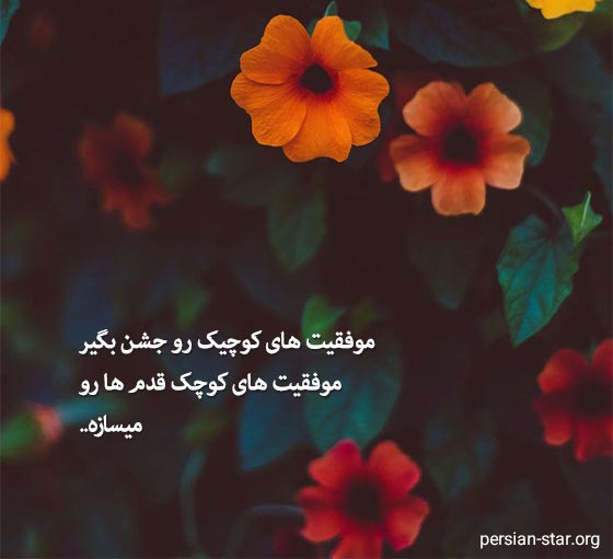 متن زیبا برای پروفایل موفقیت