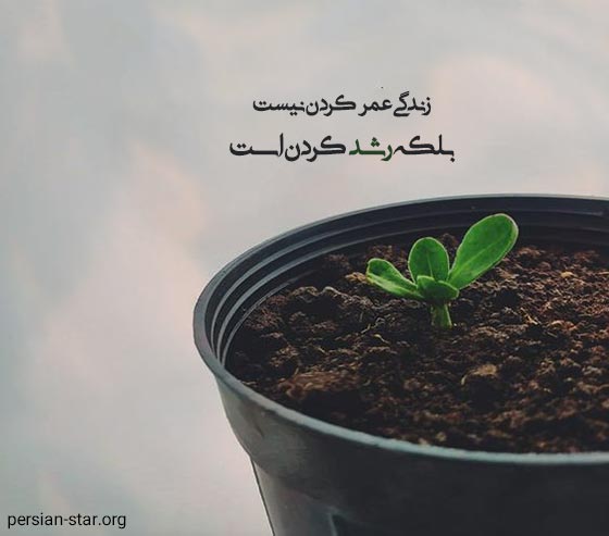 معروف ترین جملات انگیزشی زندگی