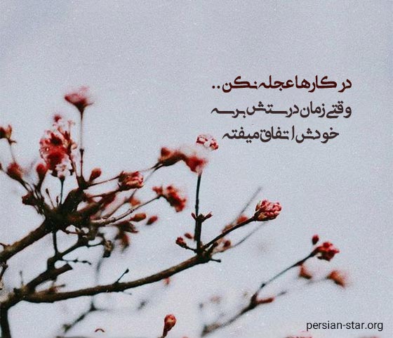 تک جمله های پر انرژی مثبت