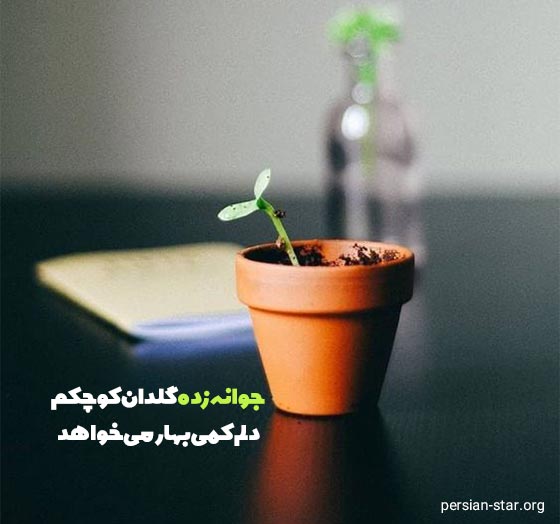 جملات زیبا و فوق انگیزشی درباره جوانه زدن