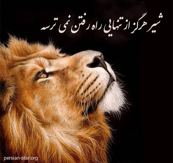 متن های زیبا در مورد شیر سلطان جنگل