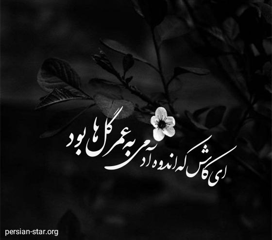بیو مفهومی تیکه دار و سنگین