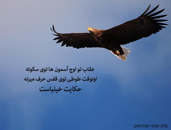 جملات تیکه دار در مورد حکایت خیلی ها