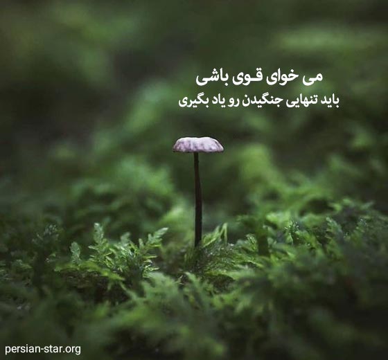 جملات زیبا و آموزنده کوتاه