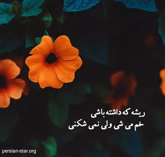 متن آموزنده زیبا و کوتاه