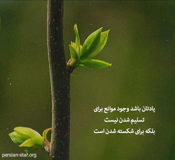 متن های آموزنده و مثبت جدید