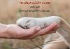 متن زیبا در مورد محبت و عشق به حیوانات